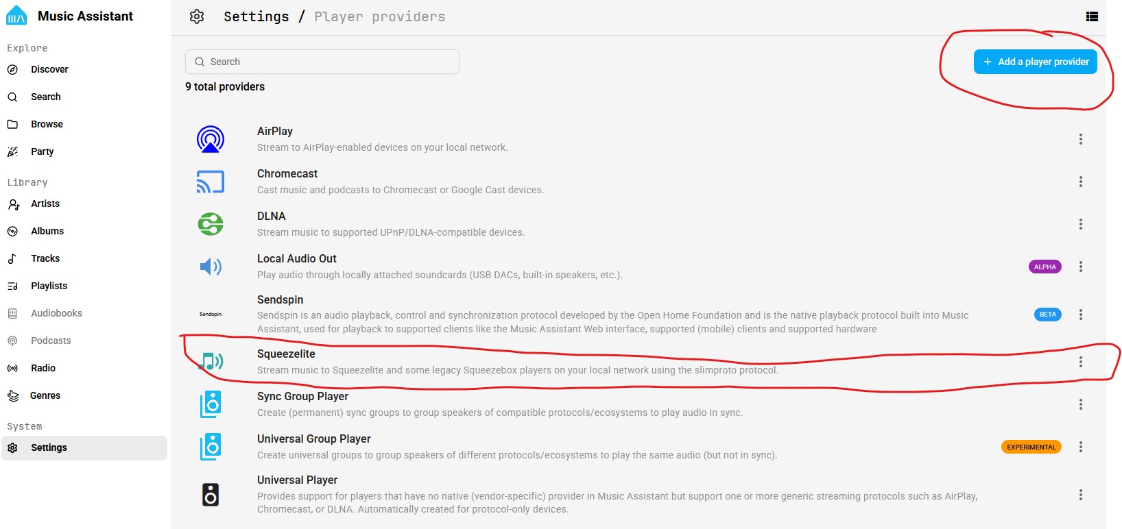 firmware-squeezelite-squeezelite-player-provider
